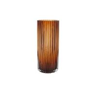 OWOHYG Vase en Verre Transparent Moderne à Grain Vertical, Pots de Fleurs hydroponiques, décoration de Bureau, Composition Florale, Taille Moyenne