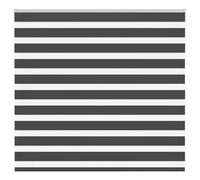 Owoxanthellate Klemmfix Store double noir 160 x 100 cm - Occultant zèbre - 100 % polyester avec rail en aluminium - Protection contre la lumière et les regards indiscrets pour salon, chambre à coucher