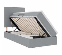 Owoxanthellate Lit coffre avec LED gris clair - 100 x 200 cm - Cadre simple moderne - Cadre en métal - Matelas - Sommier à lattes - Lift hydraulique - Confort de sommeil pour chambre à coucher