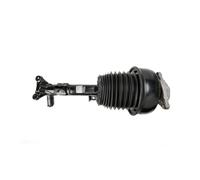 OWYTNRCJ Amortisseur Compatible for Mercedes Benz E350 E400 E550 W212 CLS250 CLS250 CLS400 W218 4Matic 2123203338 2123203438 Suspension pneumatique Avant(Front Left)