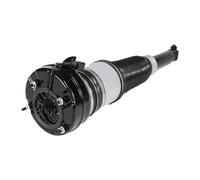 OWYTNRCJ Amortisseur pneumatique arrière Gauche Compatible avec Audi A8 D4 4H (2009-2018) 4H0616001, 4H0616001S, 4H0616001M, 4H0616001AH, 4H0616001AB
