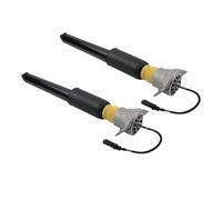 OWYTNRCJ Amortisseurs arrière compatibles for Audi A6 S6 C7 A7 S7 RS7 2012-2018, 2 pièces, 4G0616031AE