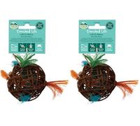 Oxbow Enriched Life Balle Folle - Jouets pour Lapins, Cochons d'Inde, Hamsters, Rats (Lot de 2)