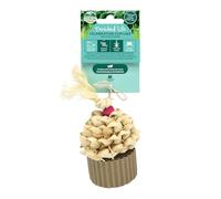 Oxbow Enriched Life Petit Gâteau de Fête - Jouets pour Lapins, Jouets pour cobayes, Hamster, Lapin, Chinchilla, Rat, Accessoires pour Cage aux NACs