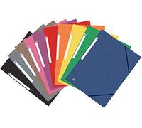 ELBA Chemise à élastique Top File, A4, assortie style G