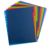 OXFORD Intercalaires Neutres Color Life A4 12 Positions Couverture Polypro 30/100ème Coloris Assortis