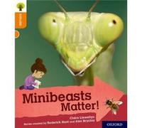 Oxford Reading Tree Explore with Biff Chip and Kipper Oxford Level 6 Minibeasts Matter by Claire Llewellyn Inconnu (Auteur)