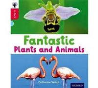 Oxford Reading Tree inFact Oxford Level 4 Fantastic Plants and Animals - Catherine Veitch - Oxford University Press - Livre en Anglais - Paperback Catherine VeitchCatherine Veitch (Auteur)