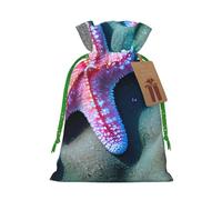 OXKGHHO Sac cadeau avec imprimé coquillages et étoiles de mer, pochette de Noël avec cordon de serrage pour petits cadeaux, bijoux et cadeaux de fête