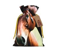 OXKGHHO Sac cadeau imprimé deux chevaux, pochette à cordon de serrage pour petits cadeaux, bijoux et cadeaux de fête