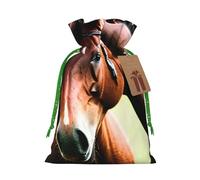 OXKGHHO Sac cadeau imprimé deux chevaux, pochette à cordon de serrage pour petits cadeaux, bijoux et cadeaux de fête