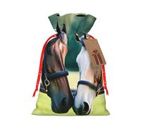 OXKGHHO Sac cadeau imprimé deux chevaux, pochette à cordon de serrage pour petits cadeaux, bijoux et cadeaux de fête