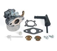 OxoxO Compatible with carburateur Carb pour Briggs & Stratton 798653 697354 790290 791077 698860 New