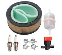 oxoxo Replace Air Filtre Cleaner Fuel Spark Plug Fuel Shut Off Valve for KOHLER Ch18 CH20 CH22 CH23 CH25 CV17 cv18 cv19 CV20 cv22 cv22s cv23 Moteur Lawn Mower