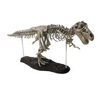 Oxtxuzdm Figurine miniature de 68,6 cm - Modèle de fossiles de dinosaures préhistoriques - Tyrannosaure - Bloc de construction interactif - Décoration de table de bureau - Jouet dinosaure