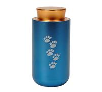 Oxtxuzdm Simple Casket Ashes Jar Vessel Ashes for Pet Urn Carvings Memorial Small Jar Container Stainless Steel Pet