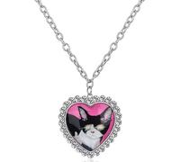 Oxxggkao Bijoux pour animaux de compagnie avec pendentifs en forme de cœur chats et chiens sur une longue chaîne en acier inoxydable robuste, One Size, Comme décrit, Comme décrit.