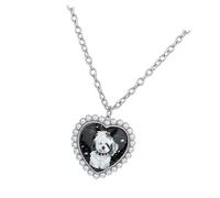 Oxxggkao Bijoux pour animaux de compagnie avec pendentifs en forme de cœur chats et chiens sur une longue chaîne en acier inoxydable robuste, One Size, Comme décrit, Comme décrit.
