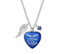 Oxxggkao Collier urne funéraire pour animal de compagnie disparu - Rangement sécurisé - Médaillon en acier inoxydable - Pour animal domestique