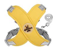 Oxxggkao Ensemble harnais réfléchissant et laisse pour chien de petite taille, gilet respirant pour petits chiens, pour la marche, le dressage de petits chiens, ensemble harnais d'air et laisse