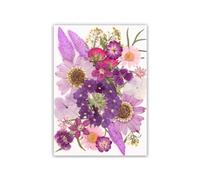 Oxxggkao Fleur séchée pressée pour loisirs créatifs, décoration, moule en résine, marque-pages, fabrication de bijoux, scrapbooking, échantillon de fleurs véritables