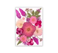 Oxxggkao Fleurs séchées pressées pour moules en résine, feuilles de fleurs sèches naturelles pour scrapbooking, bijoux en résine, marque-pages, collection d'échantillons de plantes