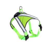 Oxxggkao Harnais de dressage pour chien avec lumière LED pour courir et nager pour grands chiens