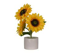 Oxxggkao Jolie lampe LED à chargement en forme de fleur, idéale pour un événement spécial, cadeau de fête des mères