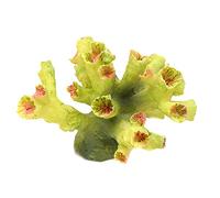 Oxxggkao Poisson pour la décoration de récif simulé d'eau de corail nouvel aquarium ornements artistiques pour poissons pour jouer