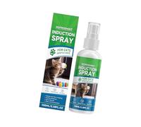 Oxxggkao Vaporisateurs naturels pour chats - Santé sûre - Herbe à chat à long terme - Sprays d'entraînement multifonctionnels - Effet de menthe pour animaux de compagnie - Inducteur durable - Jouet