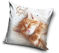Oxycute GD Une Housse de Coussin Motif Chiens ou Chats 40 x 40 cm (PD191057)