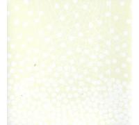 Oxygen, Anna - This Is An Exercise