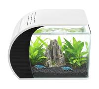Oxylonty Aquarium de table 19 l en verre avec pompe silencieuse et LED à intensité variable (blanc/bleu), filtre caché - Kit complet pour guppys, crevettes et nano poissons - Idéal pour salon, bureau