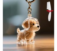 OYCXXCX Boîte de Rangement commémorative avec Porte-clés collecteur de Poils de Chien, Souvenir commémoratif pour Poils d'animaux (Puppy-B)