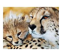 OYIFTJ Bricolage 5D Diamant Peinture Guépard animal DIY 5D Diamond Painting Kit Peinture par numéro Broderie Point De Croix Diamant Arts Craft pour Enfants et Adultes 40x50cm