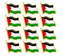 OYZOQ 12 Pcs Drapeau Palestine pour Femmes et Hommes épingles,Broches,Drapeau Palestinien,Badge de Revers en émail pour les Pacifistes,Patriotes et les Musulmans Décoration, 2.1×1.9CM