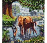Tableau broderie diamant - Chevaux 30 x 30 cm - Crystal Art Multicolore G