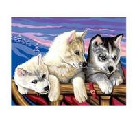 Peinture Au Numéro Initiés : Dans Le Grand Nord