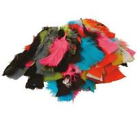 Oz International - Plume Couleur Assorti - Sachet De 25g