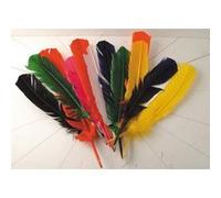 Oz International - Plume Indien Coloris Assorti -sachet De 10 G