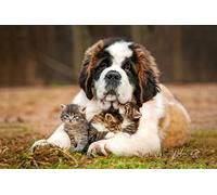 OZLHSP 500 Pieces Puzzle Enfant Fille Chaton Saint Bernard Animal 52x38cm