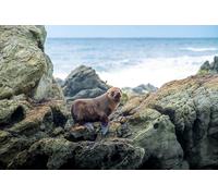 OZLHSP Cadeau Enfant Garcon Puzzle 1500 pièces Phoques Animaux 87x57cm