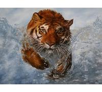 OZLHSP Cadeau Enfant Garcon Puzzle 500 pièces Tigres et Grands félins 52x38cm