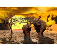 OZLHSP Casse Tete Adulte Difficile Puzzle 500 Piece Rhinocéros Animal 52x38cm