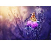 OZLHSP Fille Puzzle 500 pièces Papillons Animaux 52x38cm