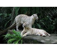 OZLHSP garçon Puzzle 1500 pièces Tigres Grands félins Animaux 87x57cm