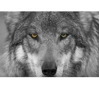 OZLHSP Puzzle 1500 Piece 3D Loups Animaux 87x57cm