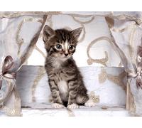 OZLHSP Puzzle 3D 500 Pieces Chatons Animaux 52x38cm