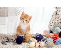 OZLHSP Puzzle 3D 500 Pieces Chatons Animaux 52x38cm