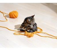 OZLHSP Puzzle 3D 500 Pieces Chatons Animaux 52x38cm